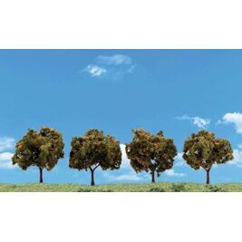 2-3 Orange Trees 4/Pk