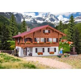 H0 Chalet in Brienz