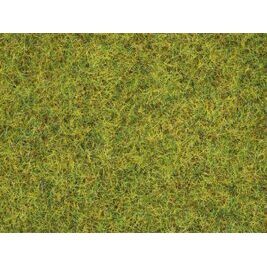 Sommerwiesen-Gras 2,5 mm 100g Beutel