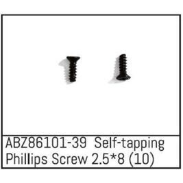 Self-tapping Phillips Screw 2.5*8 - Mini AMT (10)