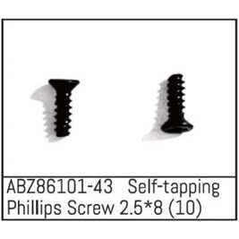 Self-tapping Phillips Screw 2.5*8 - Mini AMT (10)