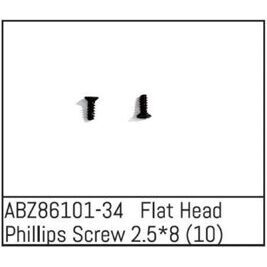 Flat Head Phillips Screw 2.5*8 - Mini AMT (10)