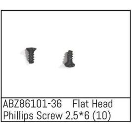 Flat Head Phillips Screw 2.5*6 - Mini AMT (10)