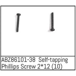 Self-tapping Phillips Screw 2*12 - Mini AMT (10)