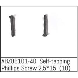 Self-tapping Phillips Screw 2.5*15 - Mini AMT (10)