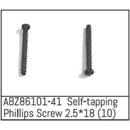 Self-tapping Phillips Screw 2.5*18 - Mini AMT (10)