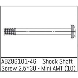 Shock Shaft Screw 2.5*30 - Mini AMT (10)