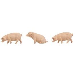 3 Schweine