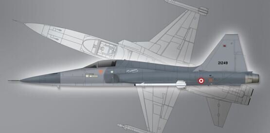 Nortrop F-5A Freedom Fighter