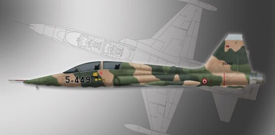 Northrop F-5B Freedom Fighter