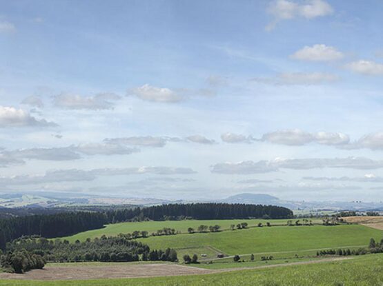 Hintergrund Erzgebirge 3