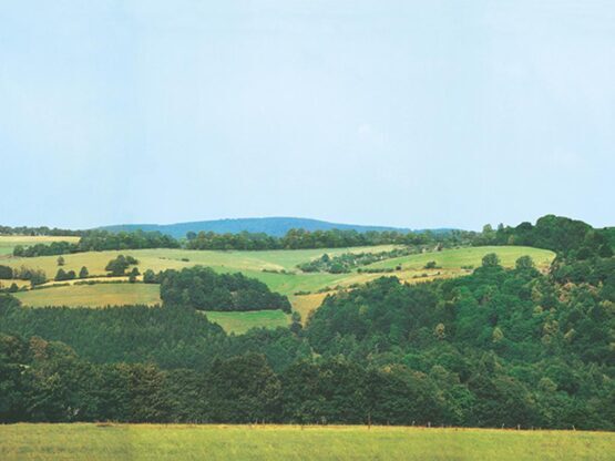 Hintergrung Wolkenstein/Erzgebirge