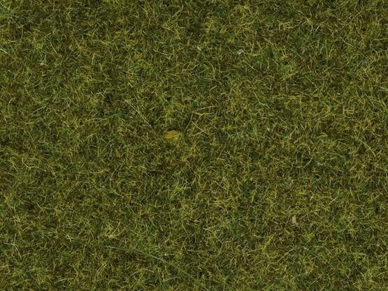 Gras Wiese 1,5 mm 20g Beutel