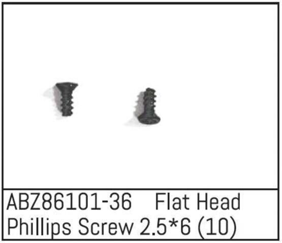 Flat Head Phillips Screw 2.5*6 - Mini AMT (10)