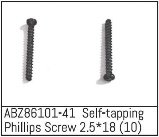 Self-tapping Phillips Screw 2.5*18 - Mini AMT (10)