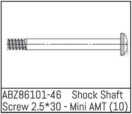 Shock Shaft Screw 2.5*30 - Mini AMT (10)